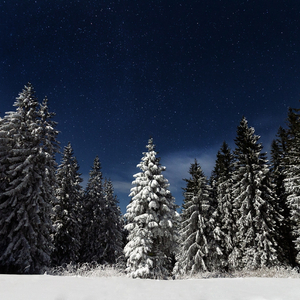 体育生巨龙榨精H文
